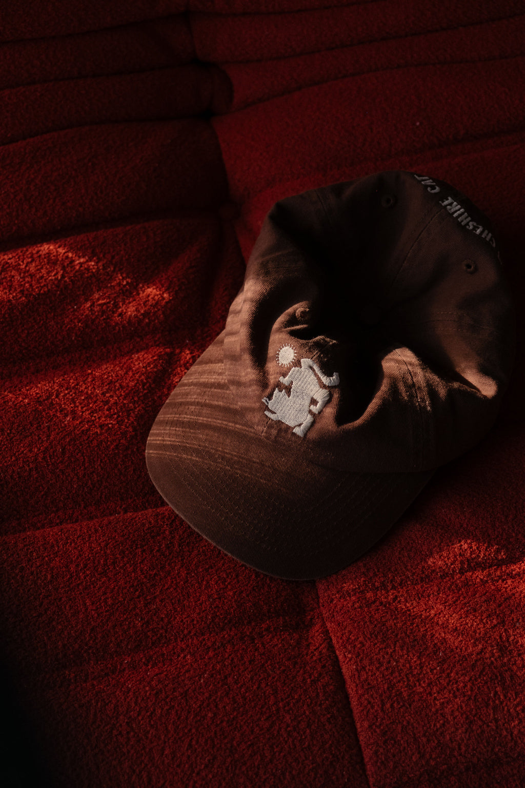 The Cat Cap