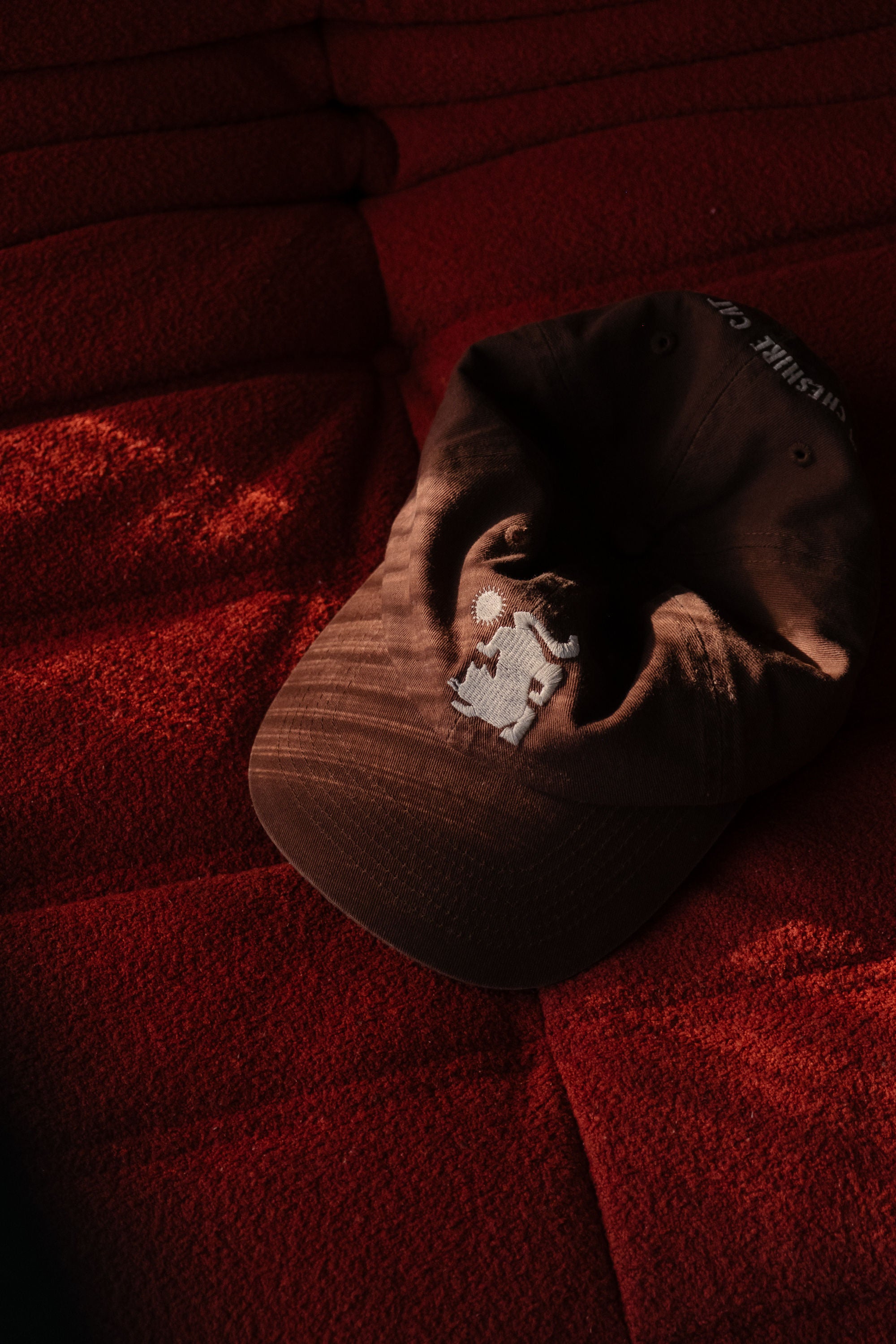 The Cat Cap